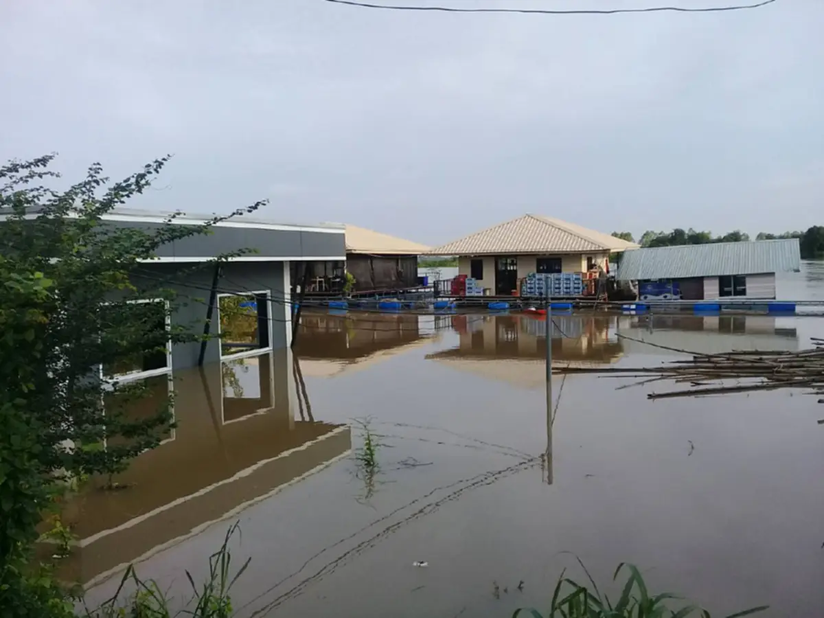 เปิดภาพมุมสูง เมืองอุบลเตรียมรับมวลน้ำจาก แม่น้ำชี-มูล ผลจากเซินกา เตือน 9 ส.ค.นี้ เมืองวารินอ่วมหนักแน่ ของเก่ากระทบ 1.8 หมื่นครัวเรือน