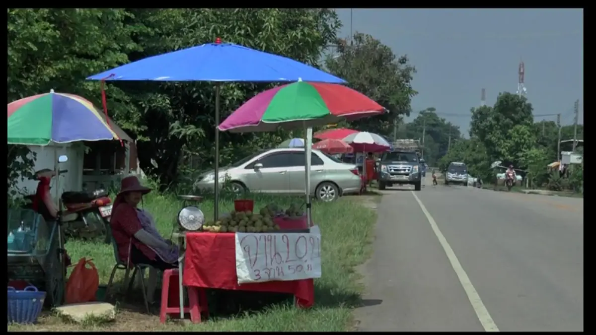 ชี้ช่องรวย!! ใครจะคิด แค่ปลูกน้อยหน่าไว้ในสวน จะสร้างรายได้ขนาดนี้ อำเภอภูกามยาว คาดปีนี้ชาวบ้านฟันรายได้ 10 ล้าน เห็นๆ (ชมคลิป)