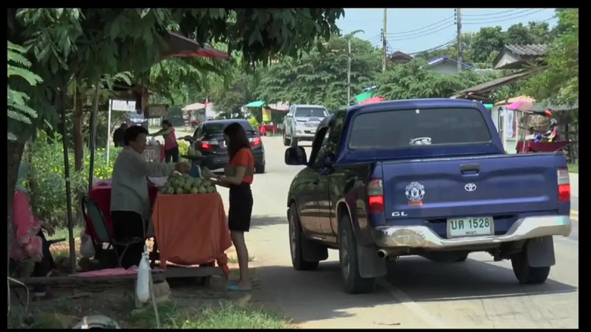 ชี้ช่องรวย!! ใครจะคิด แค่ปลูกน้อยหน่าไว้ในสวน จะสร้างรายได้ขนาดนี้ อำเภอภูกามยาว คาดปีนี้ชาวบ้านฟันรายได้ 10 ล้าน เห็นๆ (ชมคลิป)