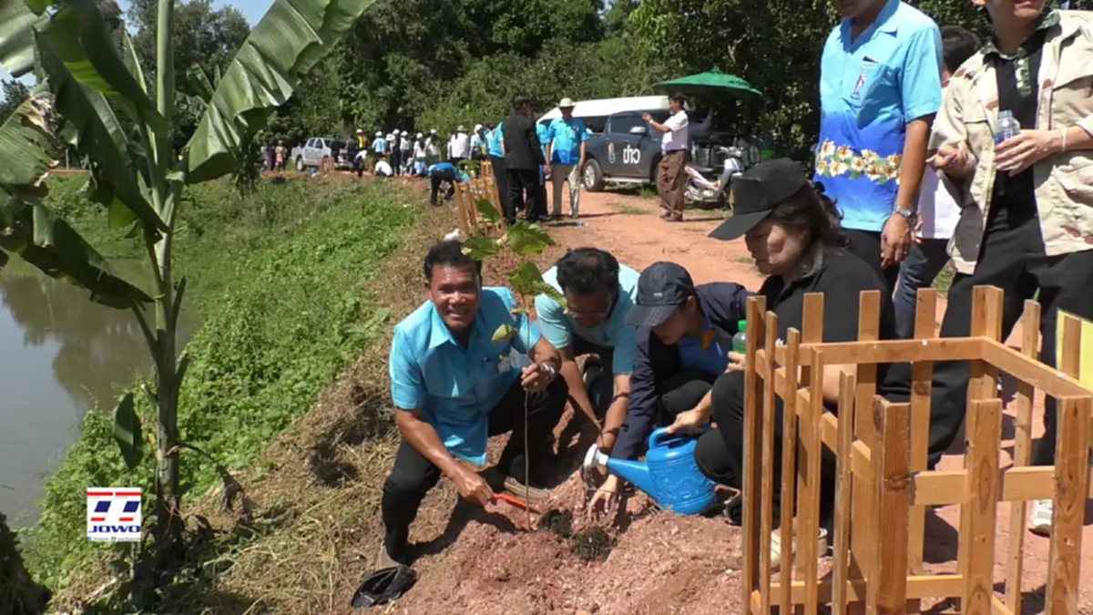 ชาวบ้านอำเภอสูงเนิน โคราช ร่วมใจ ปล่อยพันธ์สัตว์น้ำและปลูกต้นยางนา ปลูกหญ้าแฝกเฉลิมพระเกียรติ (มีคลิป)