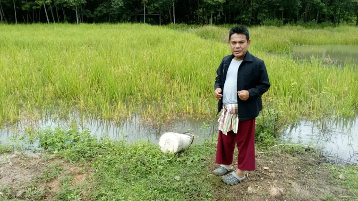 สิ้นเนื้อประดาตัว!! นาข้าวเกือบ 100 ไร่ หายไปในพริบตา หลังโดนฝนตกหนักน้ำท่วมสูง