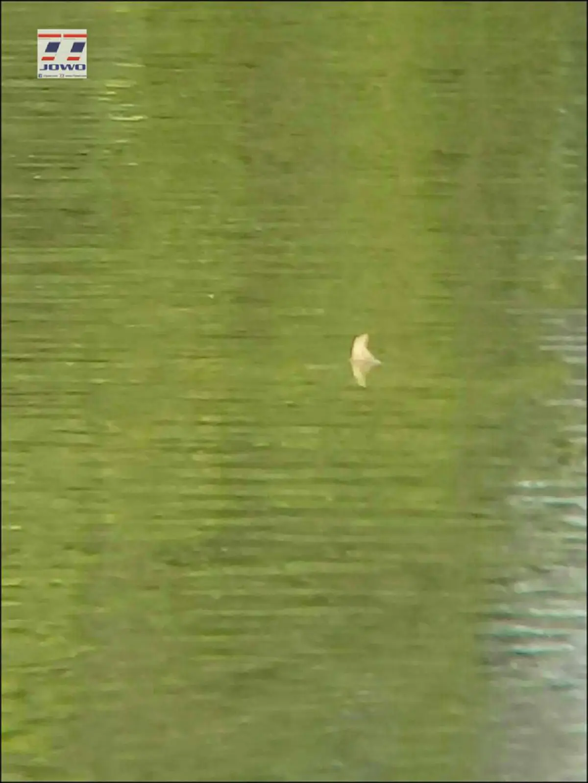 ฮือฮาทั้งหมู่บ้าน!! ชาวบ้านทั่วสารทิศกว่า 1,000 คน แห่มาเฝ้ารอชม "พญานาค" ตัวเป็นๆในวันหวยออก เผยไม่ทำให้ผิดหวัง เห็นเป็นเลขเด็ดชัดๆ (คลิป)