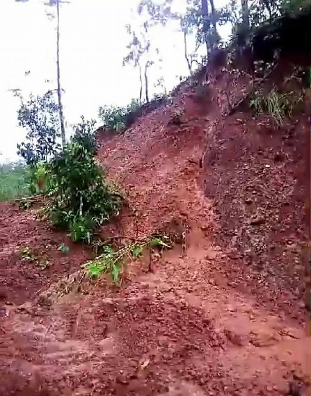 ดูแล้วยังอึ้ง..เหตุระทึกกลางป่าครูดอยเดินทางประสบเหตุน้ำป่าไหลหลากเจอะถนนพังทลาย แทบเอาชีวิตไม่รอด (คลิป)