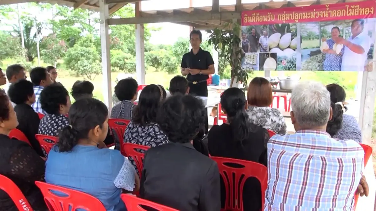 รีบดูด่วนๆ!!! เสริมสร้างรายได้และอาชีพเกษตรกรชาวสวน....สอนทาบกิ่งมะม่วงพันธุ์พื้นเมืองเป็นน้ำดอกไม้ให้ชาวสวน
