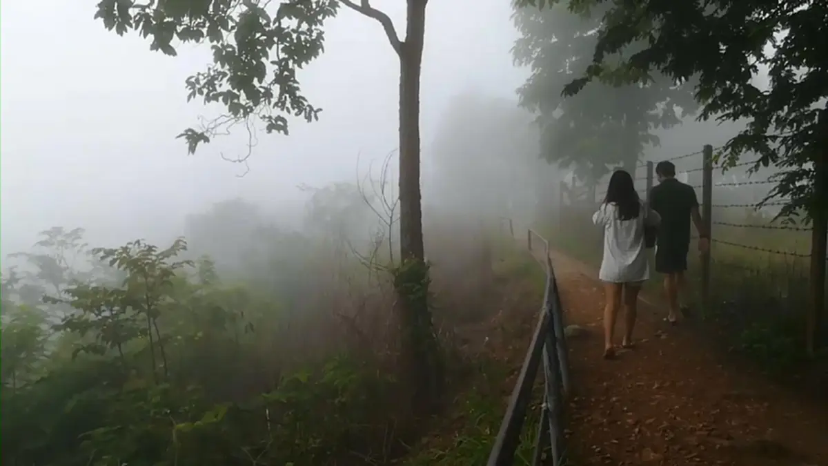 สัมผัสธรรมชาติที่สวยงาม!! ภูทอกเชียงคานนักท่องเที่ยวแห่ไปสัมผัสทะเลหมอกปลายฝนต้นหนาว พบบรรยากาศที่เย็นสบาย และวิวที่สวยงาม (ชมคลิป)