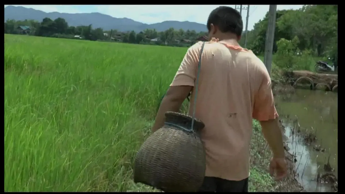 ปูนาสร้างรายได้ กระฉูด!! ปูหายาก จากการใช้สารเคมี ชาวนาหัวใสทำ "น้ำปู๋" เครื่องปรุงรสอาหารคนเหนือ สร้างรายได้เข้ากระเป๋าเป็นกอบเป็นกำ