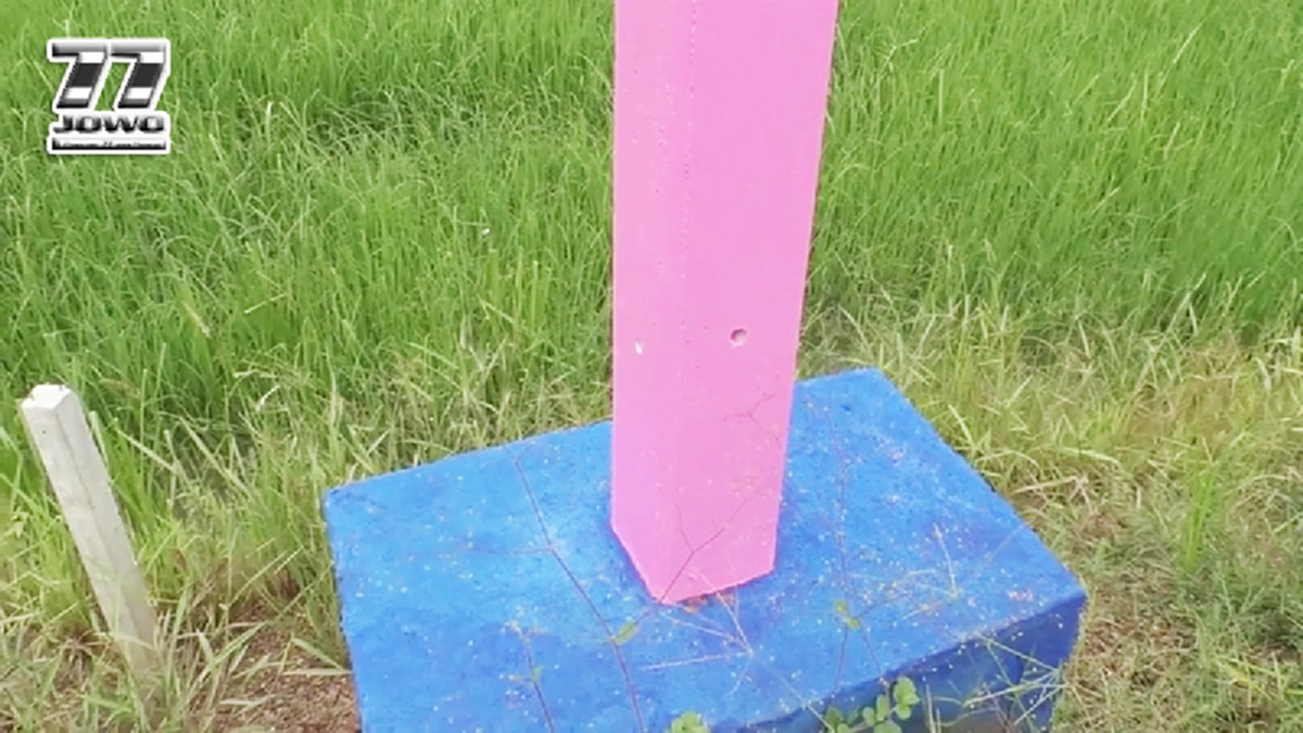 หวานแหวว..แวววับจับตาไกล โคราชสุดเก๋! ทาเสาไฟฟ้าทางเข้าบ้านเป็นสีชมพู หวานเจี๊ยบ หาง่าย ไอเดียบรรเจิด พร้อมเผยเหตุผล ทำไมต้องสีมพู!? (คลิป)