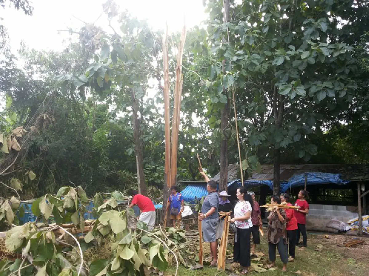 ความลับของต้นสักที่ถูกฟ้าผ่ายืนต้นตาย ที่คุณไม่เคยรู้..... หลังจากชาวบ้านแห่มาขอไปทำแบบนี้ เผยความเชื่อโบราณที่ทำเอาตะลึง..!!(มีคลิป)