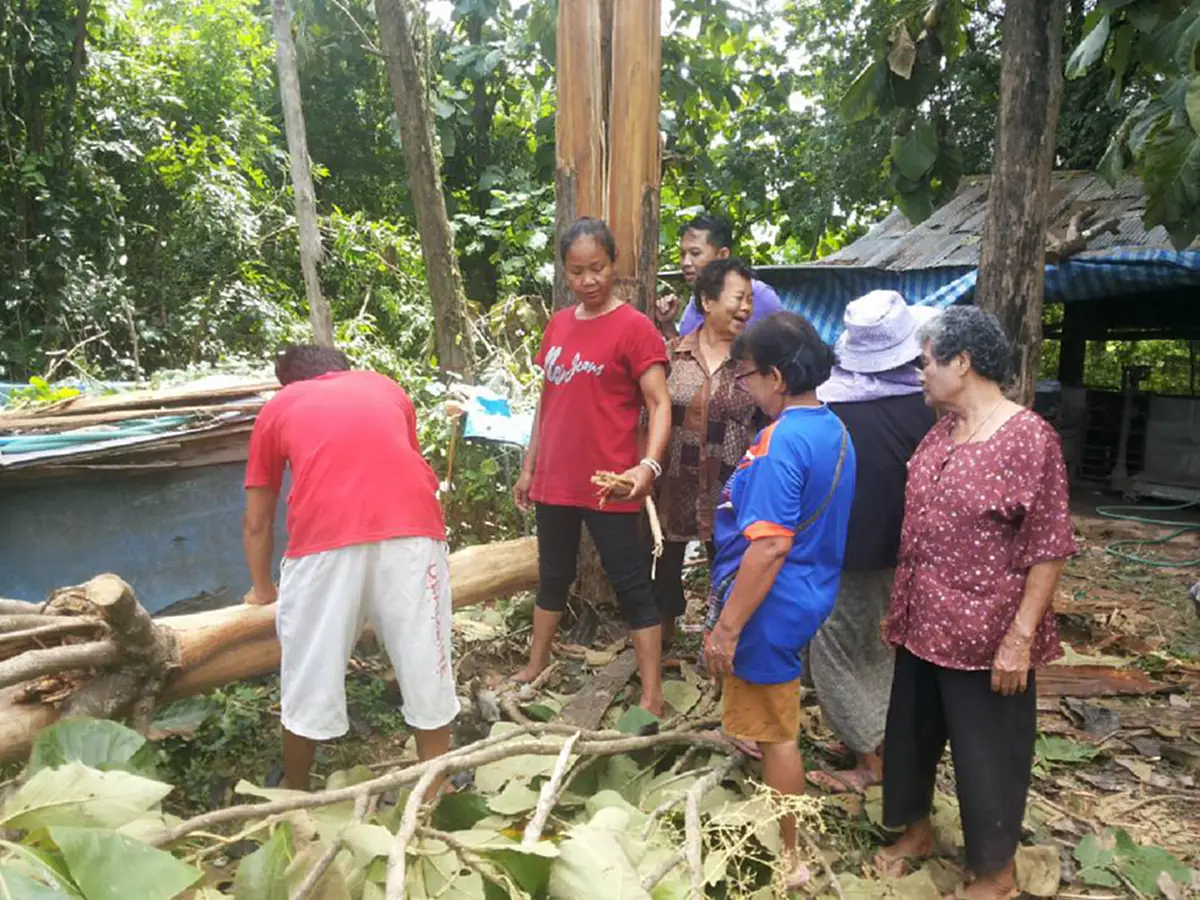 ความลับของต้นสักที่ถูกฟ้าผ่ายืนต้นตาย ที่คุณไม่เคยรู้..... หลังจากชาวบ้านแห่มาขอไปทำแบบนี้ เผยความเชื่อโบราณที่ทำเอาตะลึง..!!(มีคลิป)