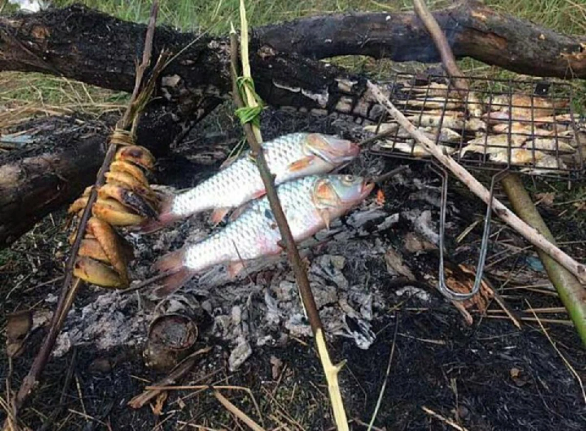 ถึงจะดังแต่ไม่เคยลืมกำพืด "บัวขาว บัญชาเมฆ" เผยชีวิตติดดินที่บ้านเกิด พร้อมน้อมนำหลักปรัชญาเศรษฐกิจพอเพียงมาปรับใช้ นี่แหละฮีโร่มวยไทย