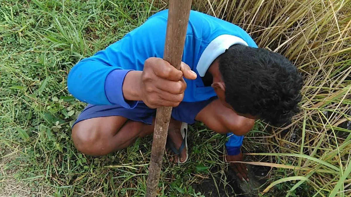 ในน้ำมีปลา ในนามีข้าว!! ชาวบ้านท่าลาด หาปลาโดยใช้วิธีแบบชาวบ้านๆ พร้อมน้อมนำเอาหลักปรัชญาเศรษฐกิจพอเพียง มาปรับใช้ในการดำเนินชีวิต