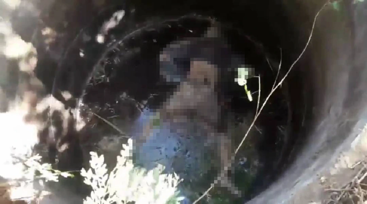 ชาวบ้านได้กลิ่นเหม็นเน่ามาจากบ่อ เดินไปดูแทบผงะ!! พบศพลอยอืดคาบ่อน้ำ โร่แจ้งจนท.มาตวจสอบด่วน!! (ดูคลิป)