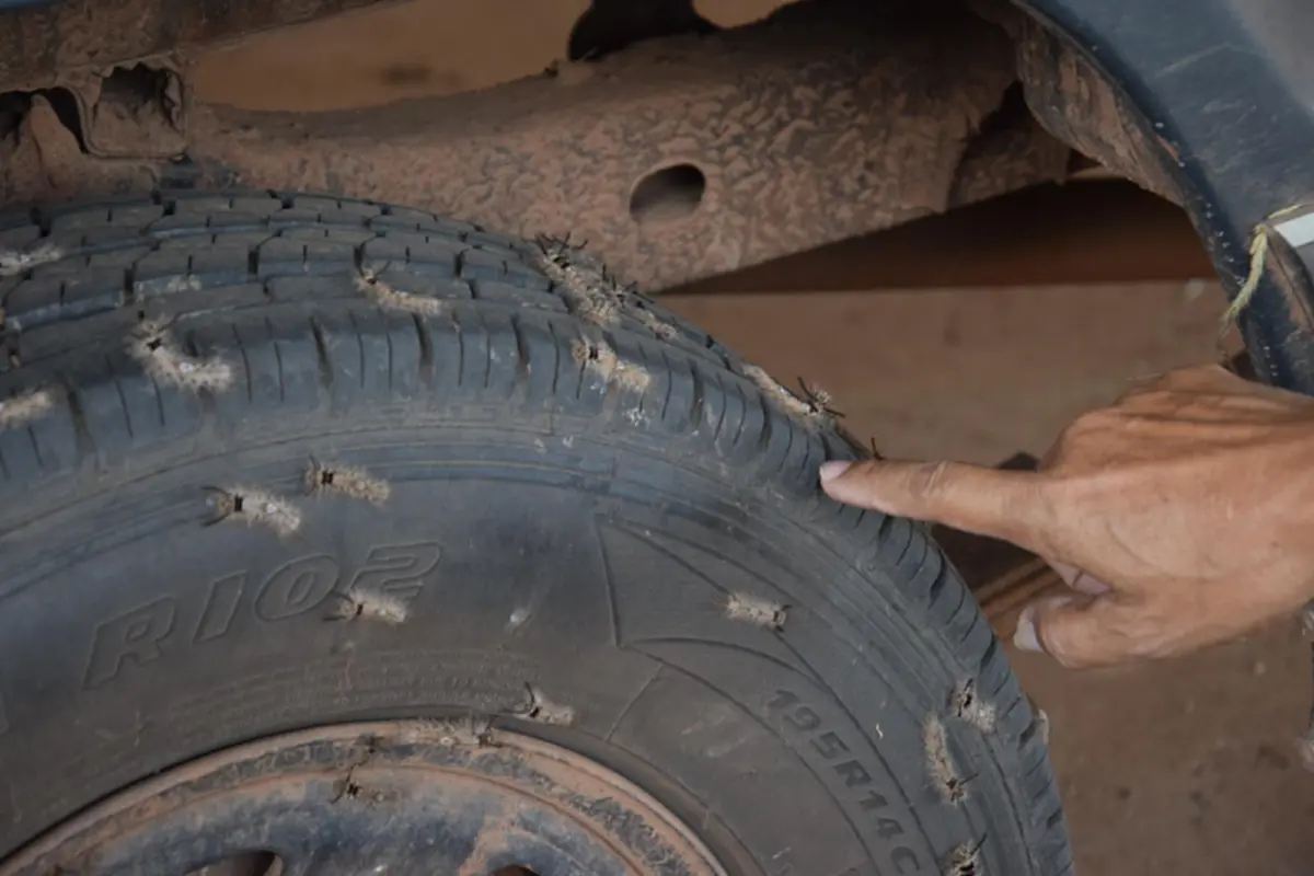 เห็นแล้วคันขึ้นมาทันที..! นักข่าวภูมิภาค สุดผวา หลังภรรยากรี๊ดสนั่น เดินมาดูทำเอาผงะ หนอนบุ้งคันนับร้อยบุกบ้าน หวั่นแพร่ระบาดเข้าชุมชน!?