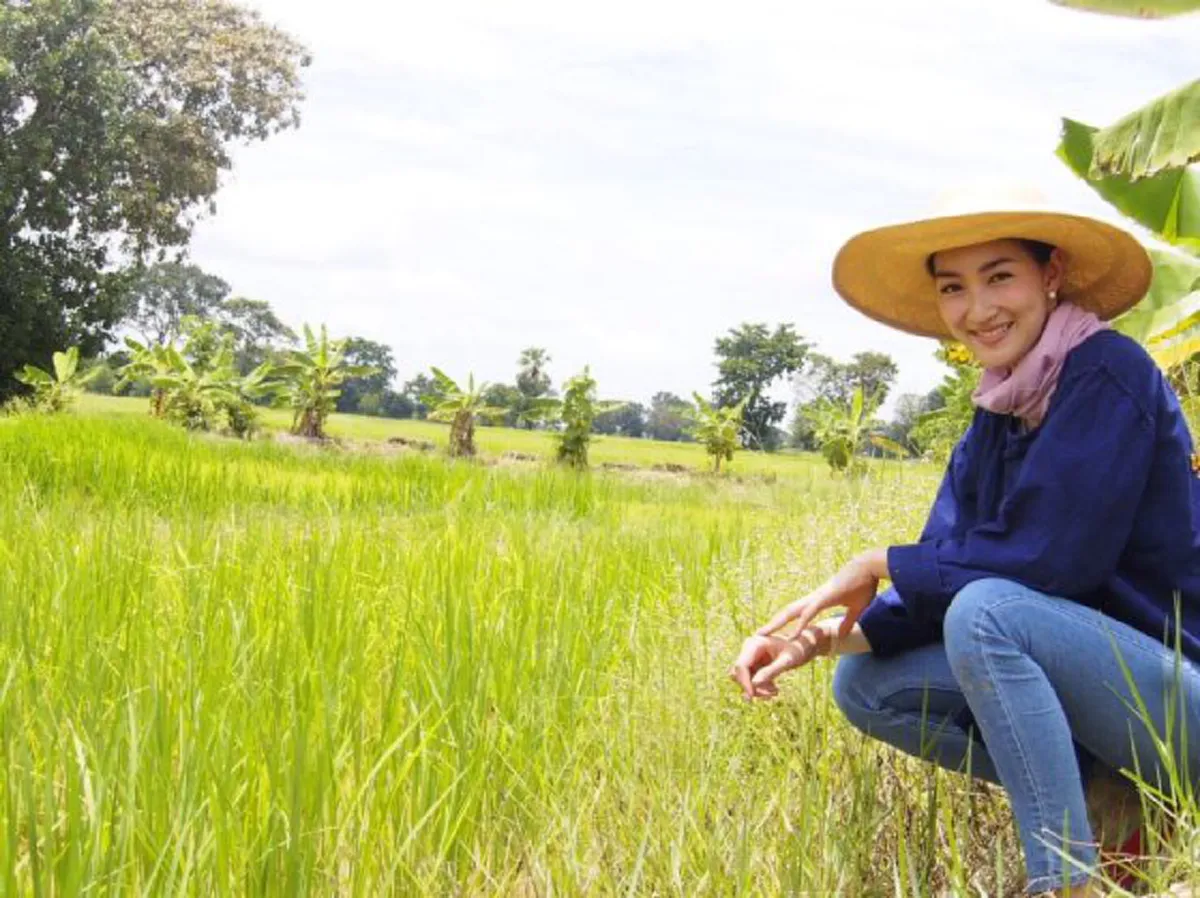 ใช้ชีวิตพอเพียง !!  "แพนเค้ก"  ปลูกข้าว ทำไร่นาสวนผสม และเลี้ยงปลา  ตามรอยพ่อหลวง รัชกาลที่9