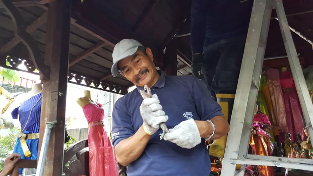 เสียงร้องชวนขนลุก!! จะเข้ากราบไหว้ศาลเจ้าแม่ตะเคียน ได้ยินเสียงตุ๊กแกร้อง ถึงกับผวาหวั่นโดนทำร้าย แจ้งเจ้าหน้าที่รีบจับไปด่วน