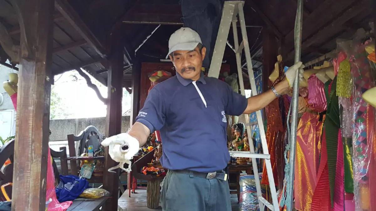 เสียงร้องชวนขนลุก!! จะเข้ากราบไหว้ศาลเจ้าแม่ตะเคียน ได้ยินเสียงตุ๊กแกร้อง ถึงกับผวาหวั่นโดนทำร้าย แจ้งเจ้าหน้าที่รีบจับไปด่วน