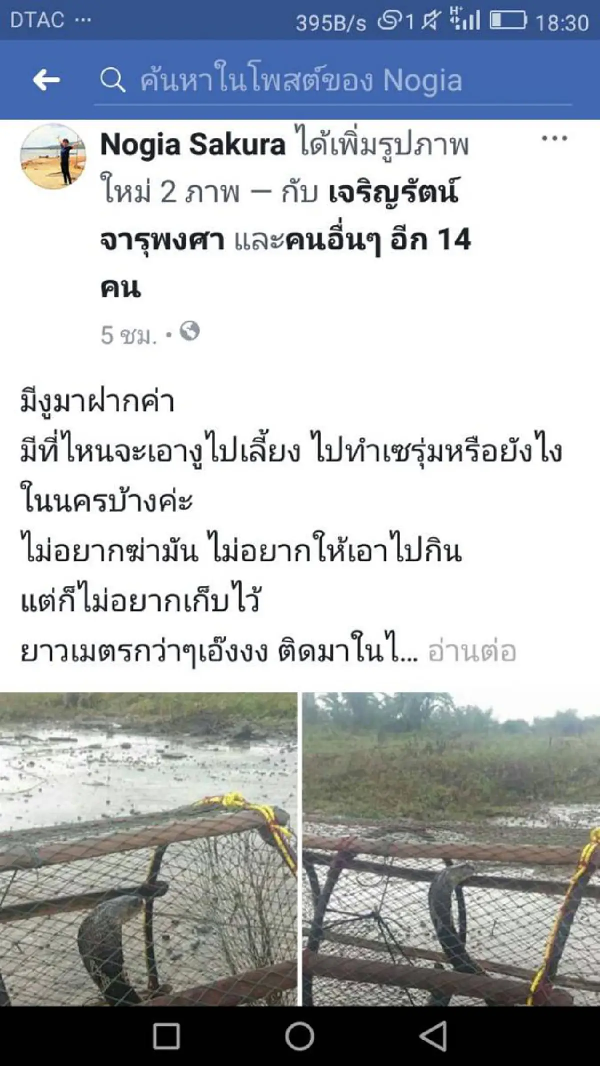 โอ้โห...เห็นแล้วขนลุก!! ฝนตกหนักชาวบ้านจึงเอาไซวางหวังดักปลา มาดูอีกพบเป็นงูเห่าตัวใหญ่เบ้อเริ่ม กำลังแผ่แม่เบี้ย