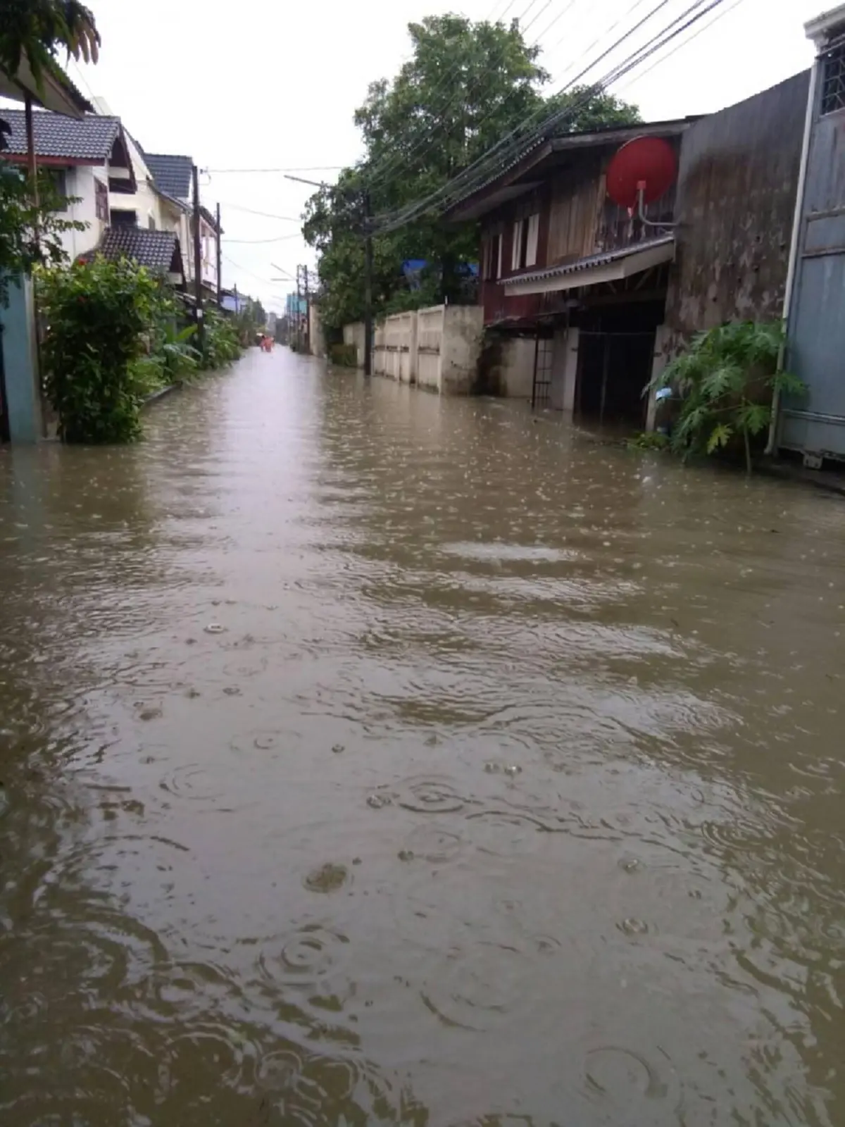 นครศรีธรรมราชอ่วม!! ผลกระทบจากฝนตกต่อเนื่อง ทำระดับน้ำสูงขึ้นเอ่อล้นเข้าท่วมพื้นที่ต่ำ เตือนประชาชนพื้นที่เสี่ยงให้อพยพ