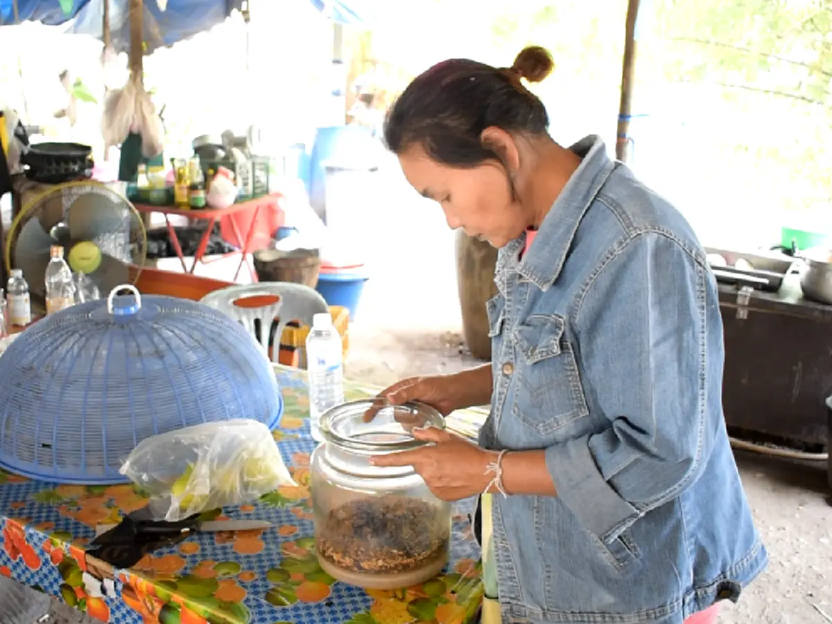 เปิบพิสดาร!! สวนกระแสความเชื่อ หนุ่มใหญ่เห็นแม่ค้าเลี้ยง "กระดิ่งเงิน-ทอง" เชื่อทำให้รวย จึงหยิบมากินสดๆ แล้วพูด "เลิกงมงายมันเป็นแค่แมลง"!?