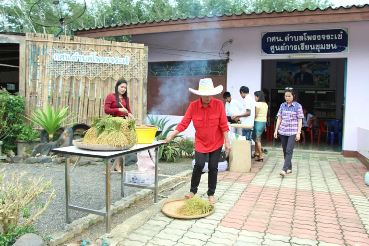 สืบทอดภูมิปัญญา!? กศน.ตรังนำนักศึกษาเรียนรู้ภูมิปัญญาชาวบ้าน เก็บข้าวไร่เพื่อมาทำข้าวเม่า ต่อยอดภูมิปัญญา-สืบสานอนุรักษ์สู่อนาคตต่อไป..!!