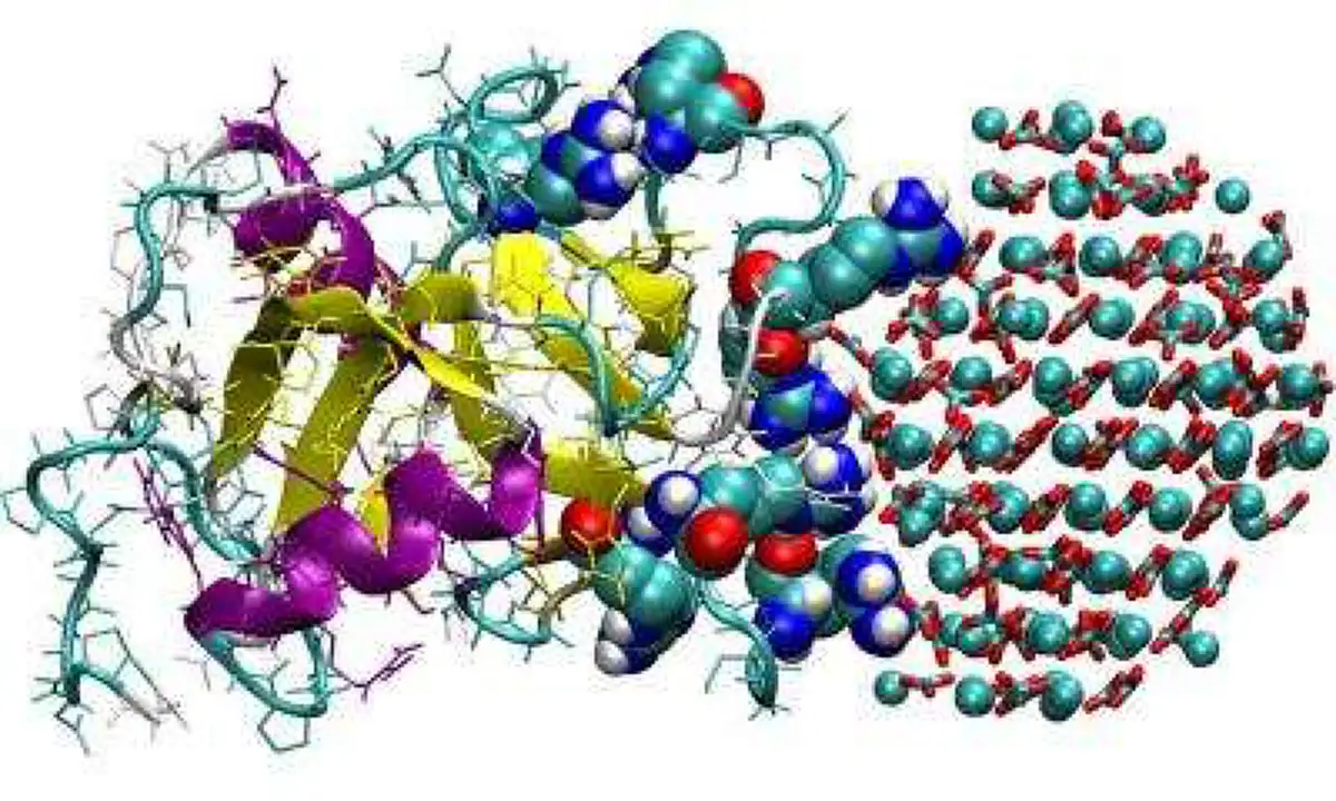 ปัญหาโลกแตก ! "ไก่กับไข่อะไรเกิดก่อน?" ที่ถกเถียงกันทุกยุคสมัย พอได้รู้แล้ว หายโง่เลยทันที !!?