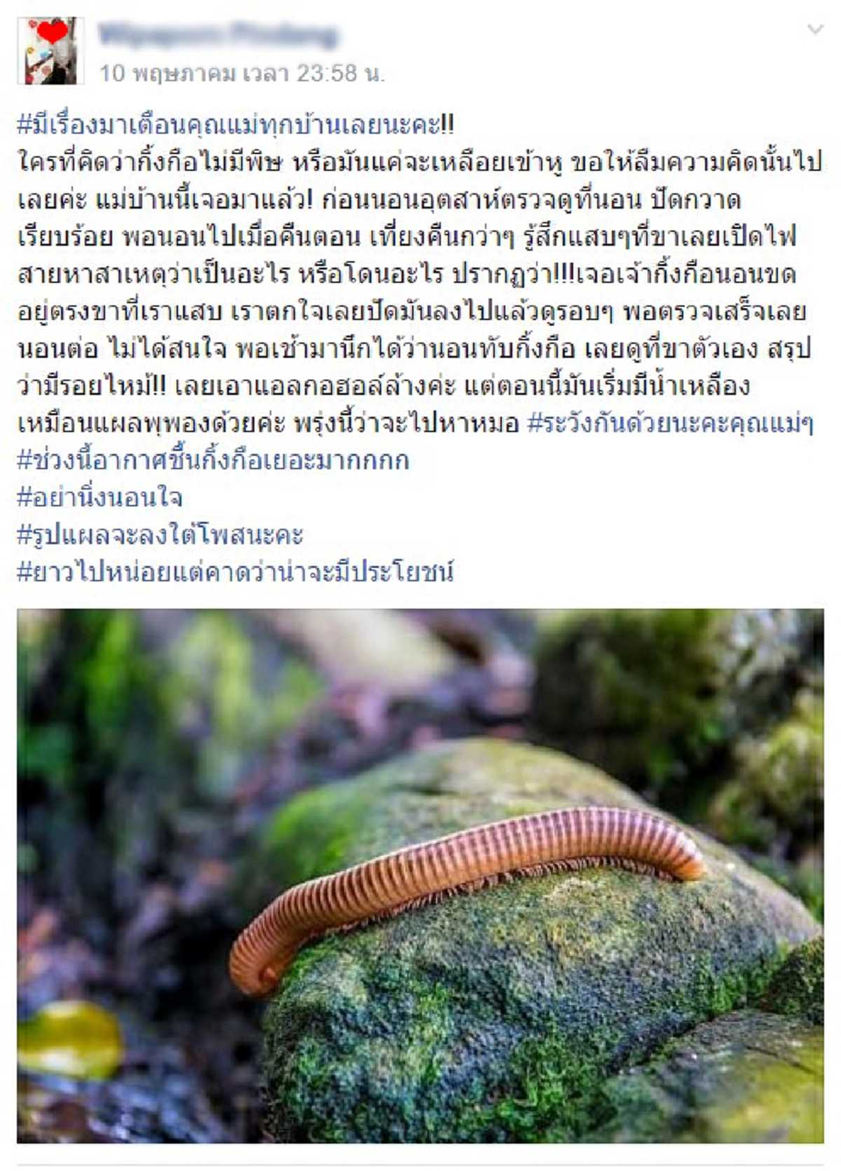 รีบโพสต์เตือน.. &quot;กิ้งกือร้อยขา&quot; ไม่ได้เลื้อยผ่านไปอย่างที่คิด!  เมื่อรู้ว่าเกิดอะไรขึ้นถึงกับช็อค !