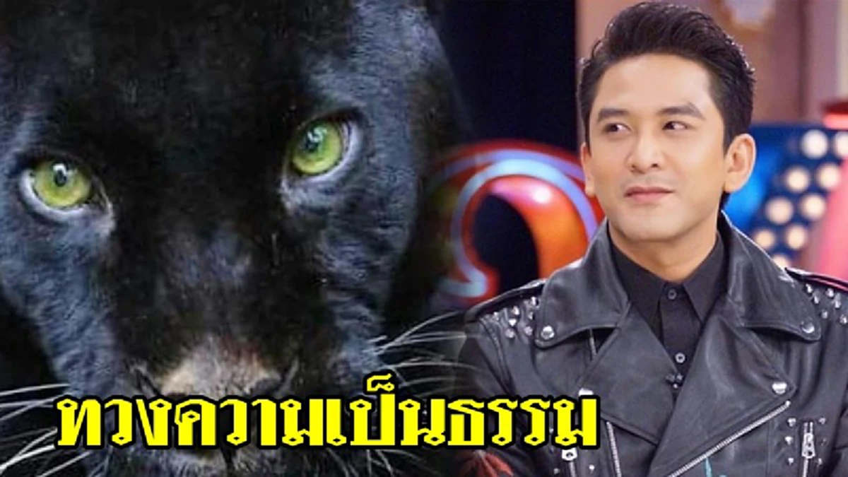 สู้ไปด้วยกัน!!! "ป๋อ ณัฐวุฒิ" ทำตามสัญญา โพสต์รูปเสือดำต่อเนื่องวันที่ 8 คราวนี้มาพร้อมแคปชั่นกินใจ แฟนคลับคอมเม้นต์เพียบ!?