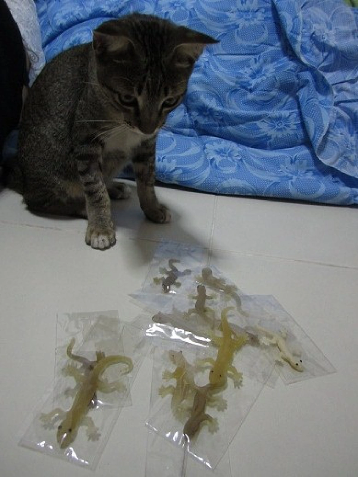 ในที่สุดก็เจอ !!  "วิธีกำจัดจิ้งจก" ให้หมดเกลี้ยงไปจาก บ้านในพริบตา! ไม่มีเหลือซักตัว! ลองแล้วได้ผลชัวร์ 100% จดไว้เลย ไม่หวงสูตร !!!