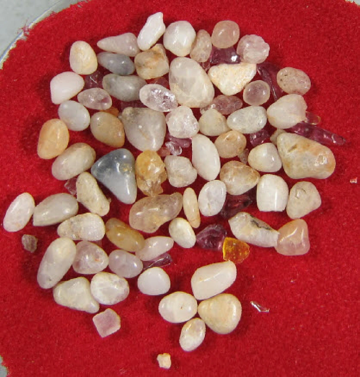 พระอริยเจ้าเหนือโลก!! "หลวงตาเชย วัดราษฎร์บำรุง"นุ่งจีวรเก่าๆ อยู่โกดังเก็บศพ อิทธิฤทธิ์เหนือฟ้า ละสังขาร กระดูกกลายเป็นพระธาตุสามกษัตริย์!!