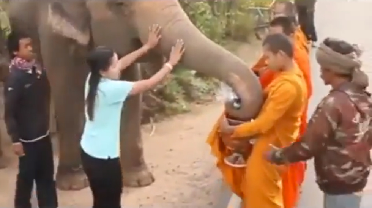 บุญกุศลส่งให้เกิดเป็นคนชาติหน้านะลูก!! โซเชียลสุดประทับใจ แห่แชร์ ช้างแสนรู้ ตักบาตรทำบุญ ยามเช้า อย่างเรียบร้อยสำรวม (มีคลิป)