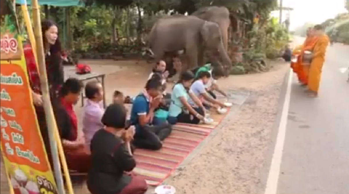 บุญกุศลส่งให้เกิดเป็นคนชาติหน้านะลูก!! โซเชียลสุดประทับใจ แห่แชร์ ช้างแสนรู้ ตักบาตรทำบุญ ยามเช้า อย่างเรียบร้อยสำรวม (มีคลิป)