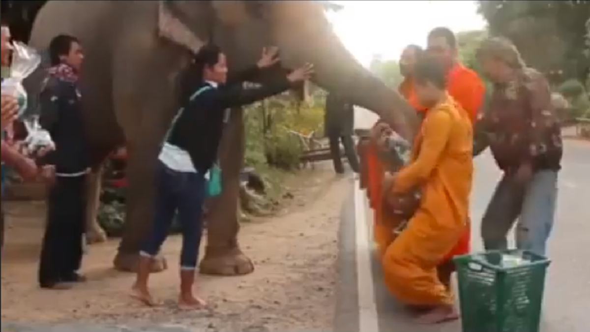 บุญกุศลส่งให้เกิดเป็นคนชาติหน้านะลูก!! โซเชียลสุดประทับใจ แห่แชร์ ช้างแสนรู้ ตักบาตรทำบุญ ยามเช้า อย่างเรียบร้อยสำรวม (มีคลิป)