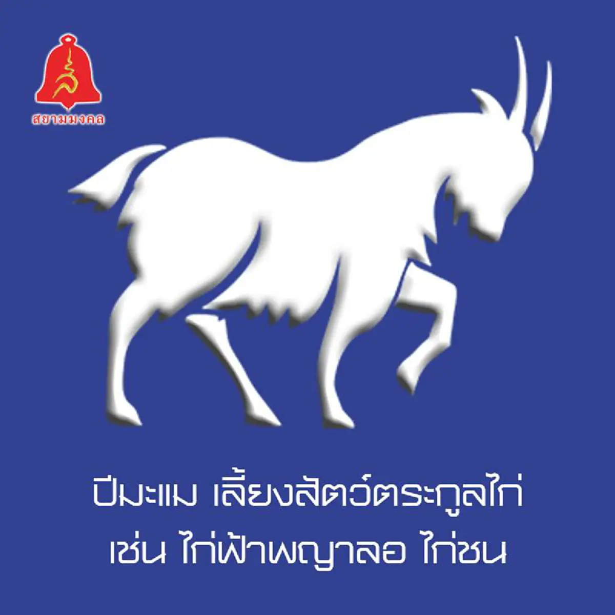 เช็คด่วน !! หมอเค้กเช็คปีนักษัตรใดที่สร้างด้วยตัวเองจนร่ำรวย เรียกได้ว่าเป็นคนเก่ง อดทน แต่ชีวิตกับอาภัพไร้คู่ หรือถ้ามีคู่ต้องเลือกให้ดี