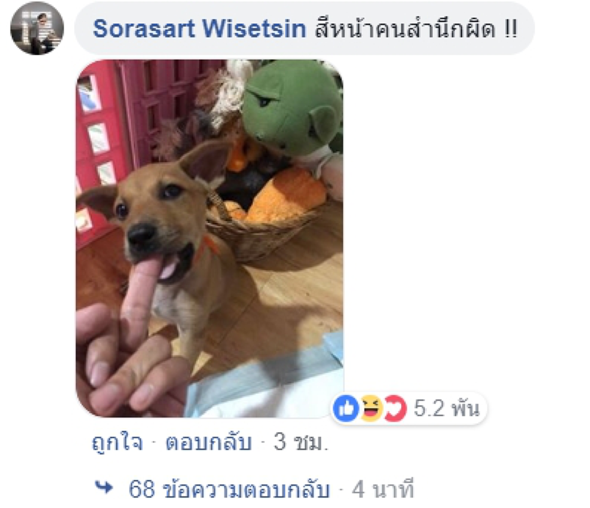 น้ำตาจะไหล!! เจ้าของเพจสุนัขชื่อดัง เผยประสบการณ์ สุนัข 2 ตัวหนีออกจากบ้าน สั่งร้านปริ้นท์ไวนีล หมดไป 1,400 สุดท้ายหมาทรยศกลับมาเฉย !!