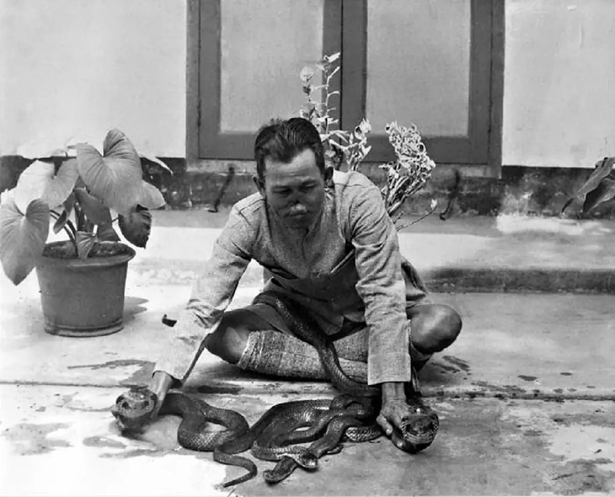 มาๆ เร็วๆ มาเอากลับไป!! "อ.ฟ้อน ดีสว่าง"เพียงแค่เคาะพื้นเบาๆ งูเห่าตัวเขื่องเลื้อยมาหาทันที ใช้ปากดูดพิษรักษาคนไข้ จนตะลึงงันกันทุกคน!!