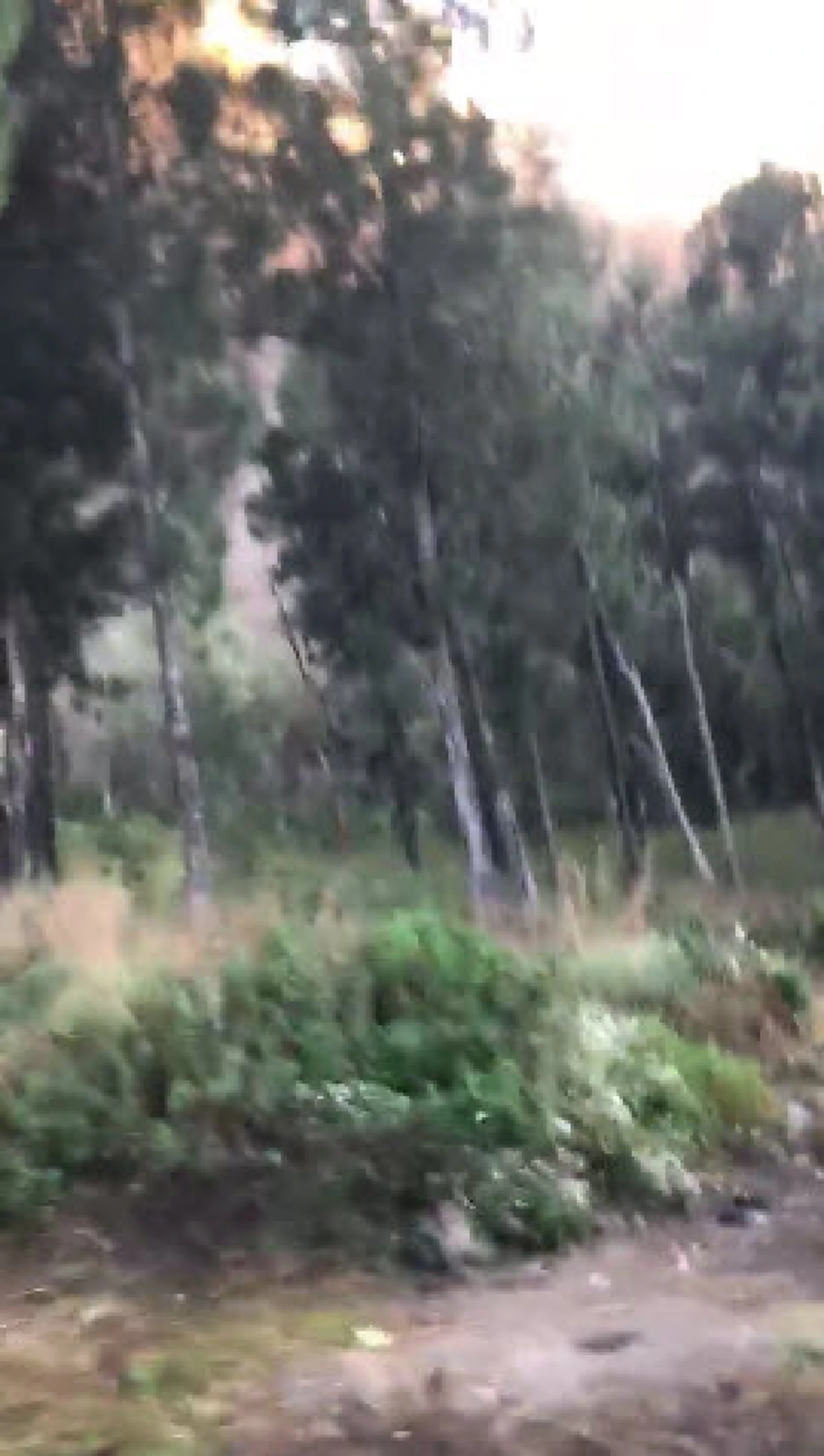 ขอให้ทุกคนปลอดภัย!!! เปิดคลิปวินาทีคนไทย "วิ่งหนี" หินถล่ม...หาที่หลบภัยหลังแผ่นดินไหวอินโดฯ! คำเดียวที่ทุกคนเอ่ยคือ"วิ่ง" (คลิป)