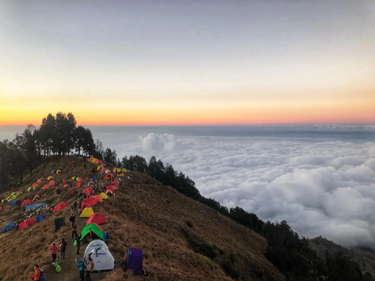 ขอให้ทุกคนปลอดภัย!!! เปิดคลิปวินาทีคนไทย "วิ่งหนี" หินถล่ม...หาที่หลบภัยหลังแผ่นดินไหวอินโดฯ! คำเดียวที่ทุกคนเอ่ยคือ"วิ่ง" (คลิป)