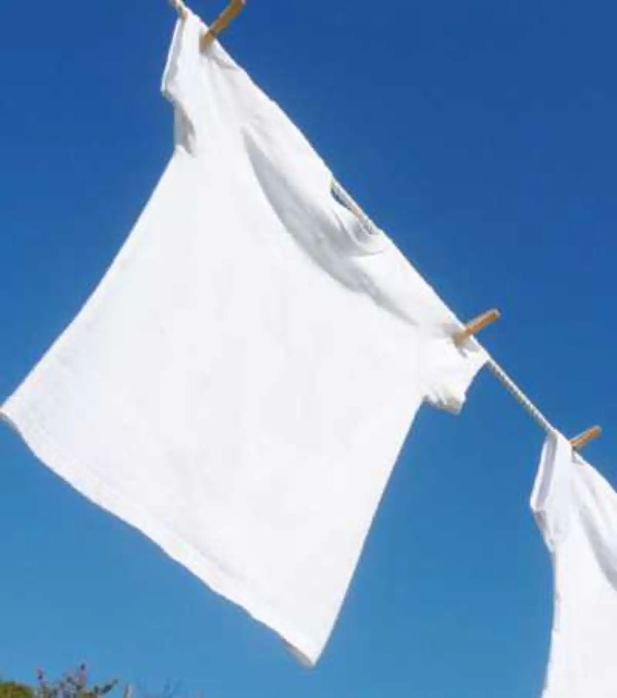 เด็ดสุด แก้เสื้อ "คอย้วย" ด้วยหนังยาง เพียงเส้นเดียว ทรงสวย แม้ซักด้วยเครื่อง ได้ผล100%