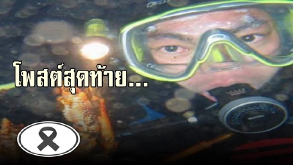 เสี่ยเกาะเต่า