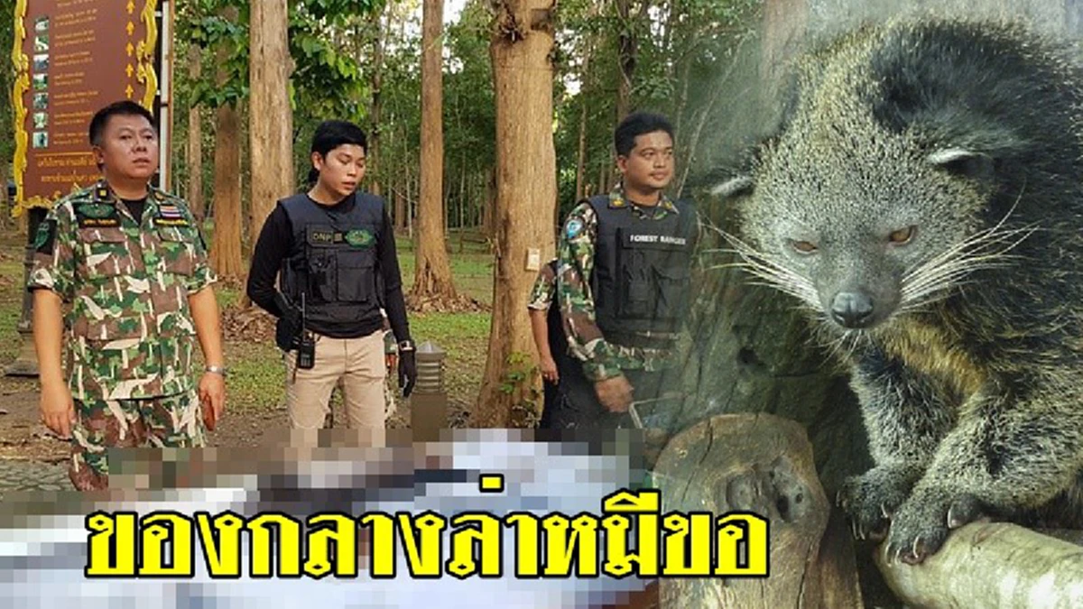 ฟันไม่เลี้ยง! ผู้ว่าฯกาญจน์ลั่นสอบผิดโทษไล่ออก "ปลัดออฟโรด" เจอแล้ว 7 ข้อหา