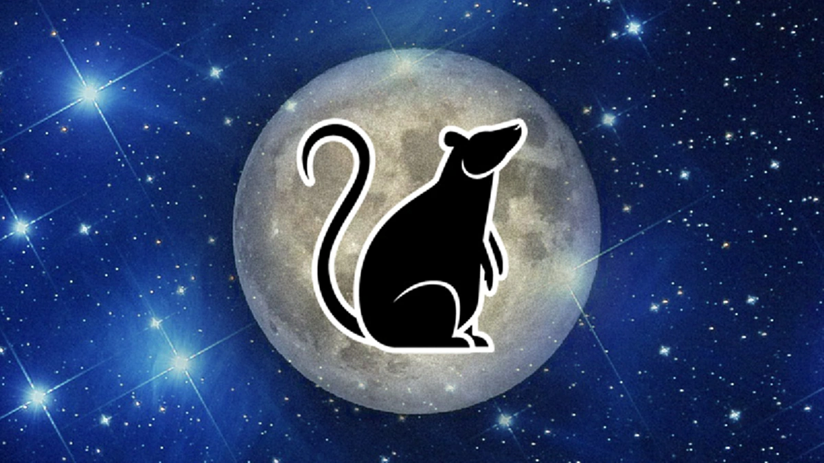 เคล็ดลับเศรษฐี วิธีเรียกเงิน ดูดทรัพย์เข้ากระเป๋าตุง!