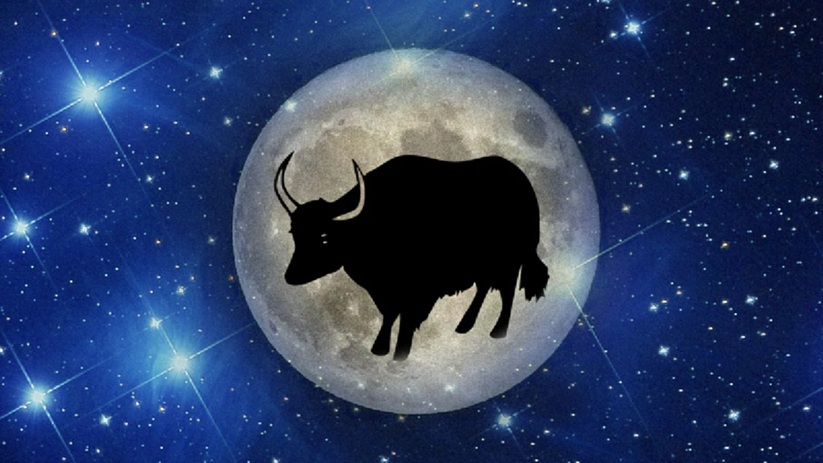 เคล็ดลับเศรษฐี วิธีเรียกเงิน ดูดทรัพย์เข้ากระเป๋าตุง!