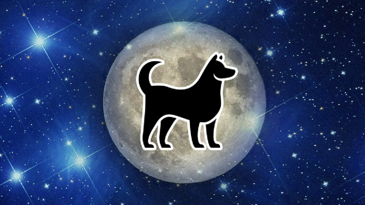 เคล็ดลับเศรษฐี วิธีเรียกเงิน ดูดทรัพย์เข้ากระเป๋าตุง!