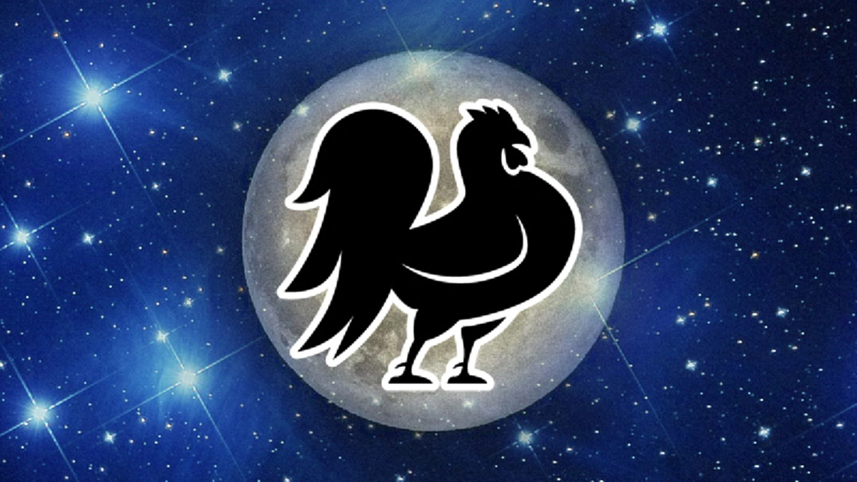 เคล็ดลับเศรษฐี วิธีเรียกเงิน ดูดทรัพย์เข้ากระเป๋าตุง!