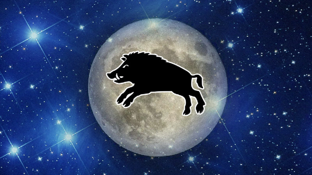 เคล็ดลับเศรษฐี วิธีเรียกเงิน ดูดทรัพย์เข้ากระเป๋าตุง!