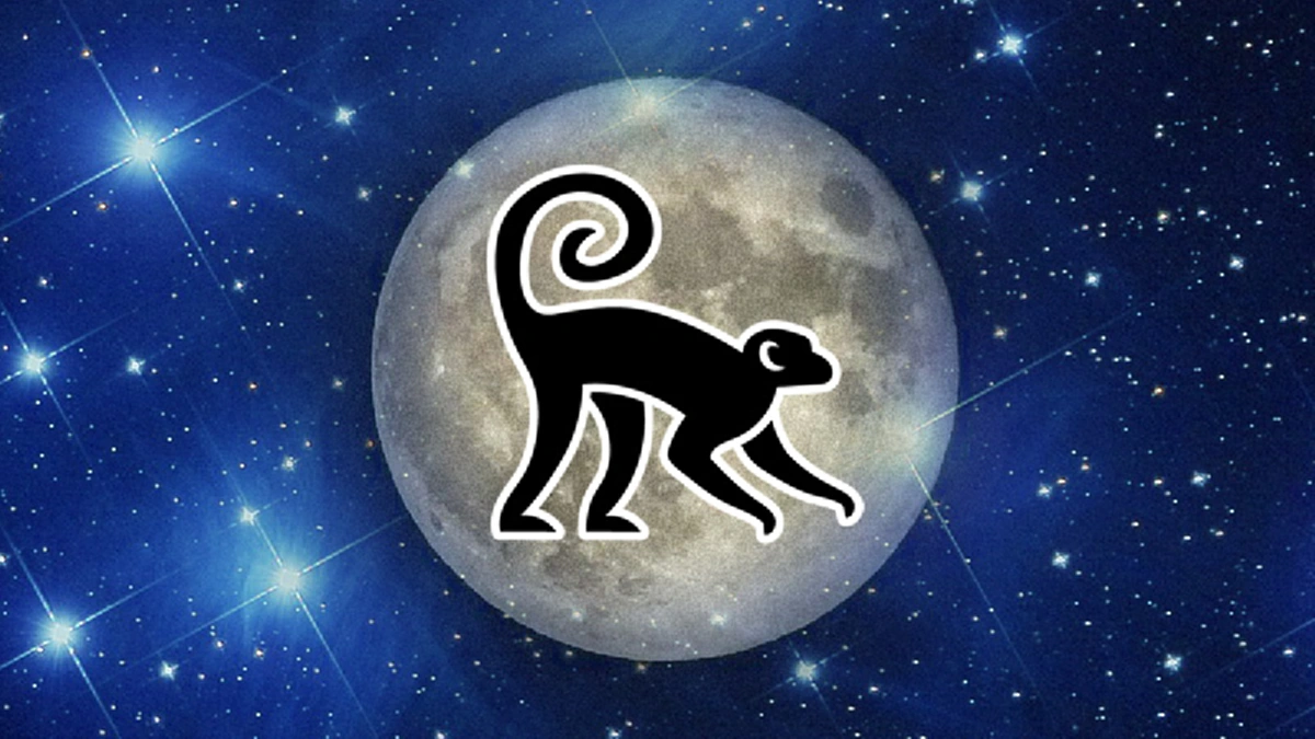 เคล็ดลับเศรษฐี วิธีเรียกเงิน ดูดทรัพย์เข้ากระเป๋าตุง!