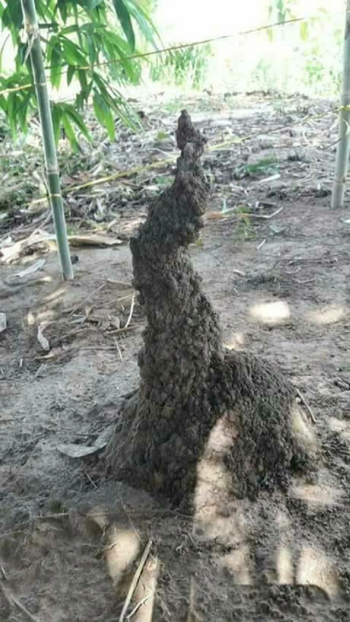 ข้อห้าม "การสร้างบ้าน" ดึงดูดสิ่งอาถรรพ์ และความโชคร้าย