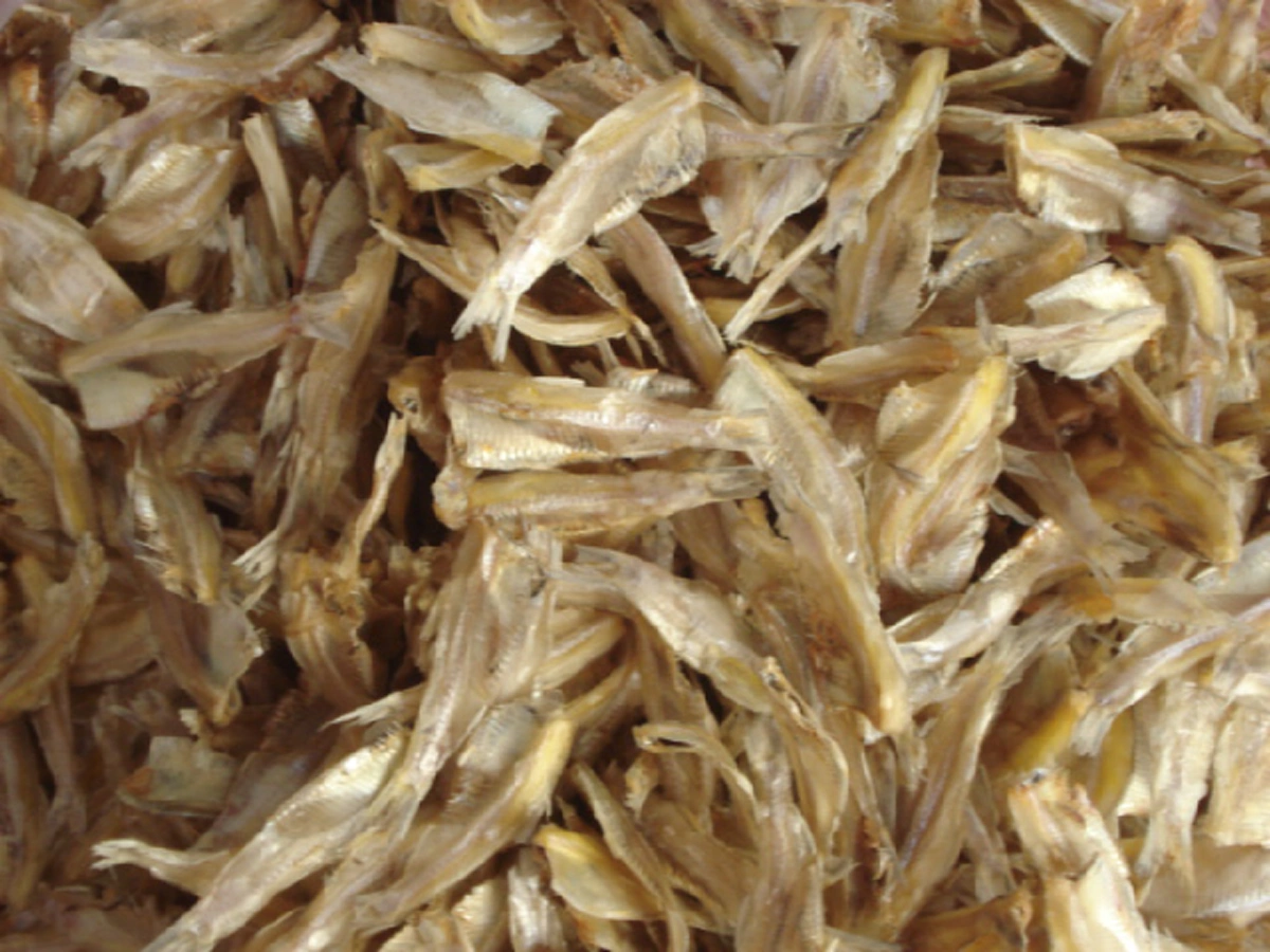 เตือนภัย "ของ 10 อย่าง" ห้ามเข้า "ไมโครเวฟ" เด็ดขาด ระวังบ้านไหนมีเด็กและผู้สูงอายุ