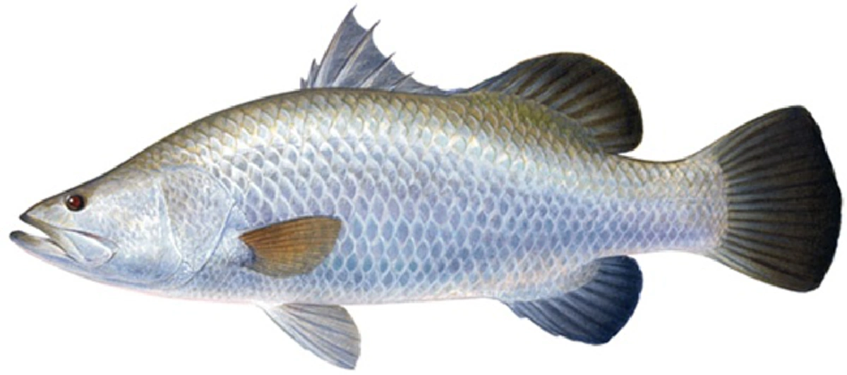 กรมอนามัยเผย "10 ปลาไทย" มีโอเมก้า 3 สูงปรี๊ด ไม่แพ้ปลาราคาแพง