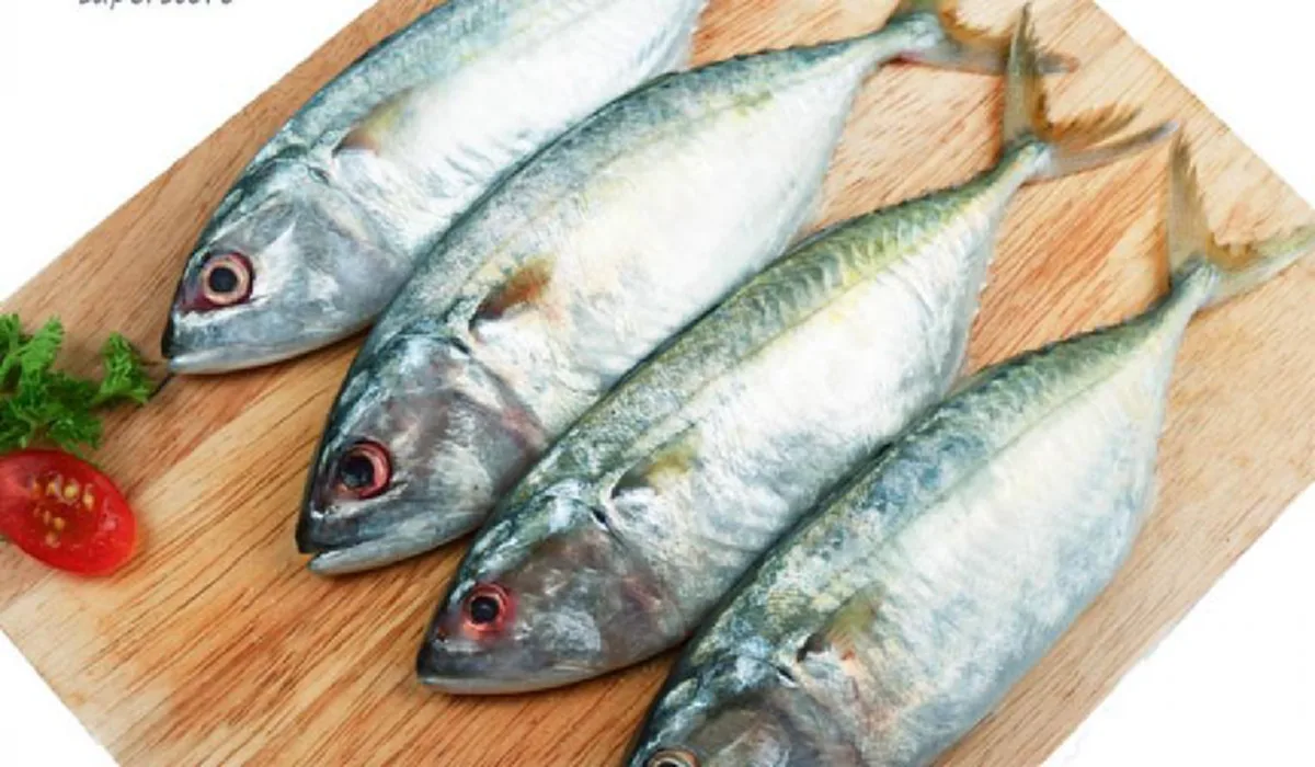 กรมอนามัยเผย "10 ปลาไทย" มีโอเมก้า 3 สูงปรี๊ด ไม่แพ้ปลาราคาแพง